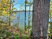 13 Acre Lakefront Property in Polk County, WI!