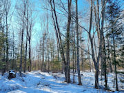 Expansive 4+ Acres with Lake View in Forest County, WI!