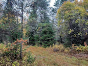 8-Acre Wooded Property near Recreational Lakes & Public Land!