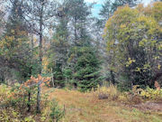 Prime 4-Acre Wooded Land on Langlade-Forest County Line!