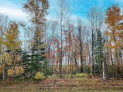 6-Acre Wooded Property in Lake Lucerne, Forest County, WI!