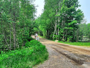 2-Acres Wooded Land near Nicolet National Forest in Northern WI!