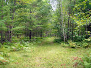 5 Acres with Driveway and Clearing!