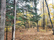 3 Acres Wooded Land in Marinette County near the Wild Rivers!