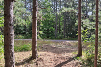 10 Acres Near Spirit River Flowage! 10 Acres Near Spirit River Flowage!