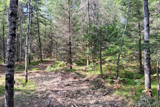 10 Acres Near Spirit River Flowage! 10 Acres Near Spirit River Flowage!