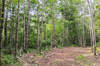 Northwest WI Acreage Near St. Croix River! Northwest WI Acreage Near St. Croix River!