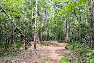 Northwest WI Acreage Near St. Croix River! Northwest WI Acreage Near St. Croix River!