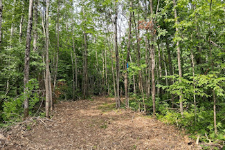 Minong Flowage Area Land For Sale! Minong Flowage Area Land For Sale!