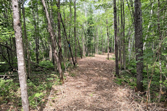 Minong Flowage Area Land For Sale! Minong Flowage Area Land For Sale!
