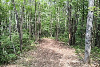 Minong Flowage Area Land For Sale! Minong Flowage Area Land For Sale!