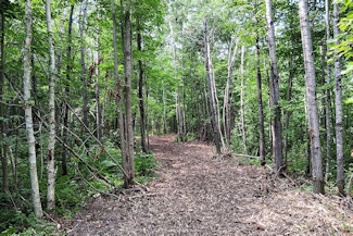 Minong Flowage Area Land For Sale! Minong Flowage Area Land For Sale!