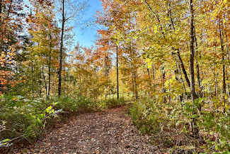 Northern WI Acreage Near National Forest!