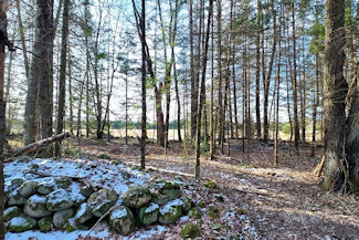 Picture Perfect Hayfield & Woods!
