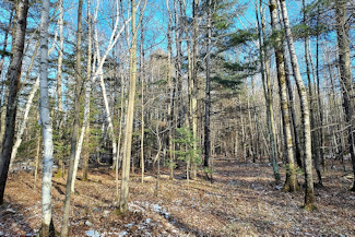 Picture Perfect Hayfield & Woods!