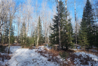 Prime 10 Acre Improved Property!