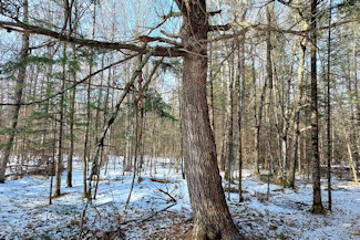 Prime 10 Acre Improved Property!