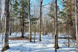 Prime 10 Acre Improved Property!