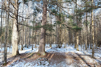 Prime 10 Acre Improved Property!