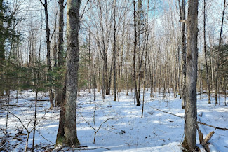 Prime 10 Acre Improved Property!