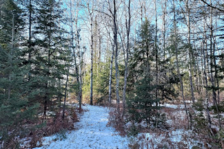 Prime 10 Acre Improved Property!