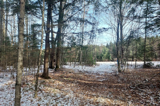 Walk the Lake - Wooded Acreage!