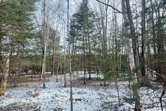 Walk the Lake - Wooded Acreage!