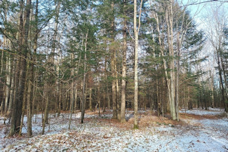 Walk the Lake - Wooded Acreage!