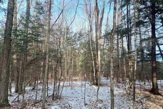 Walk the Lake - Wooded Acreage!