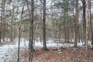 3 Acres by Crane and Chase Lake!