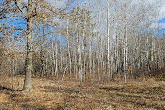 Spooner, WI Acreage Bargain!