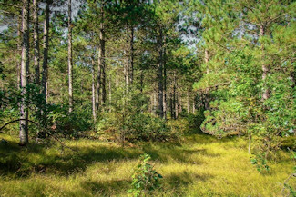 3.6 Acres Near Lakes & Trails! 3.6 Acres Near Lakes & Trails!