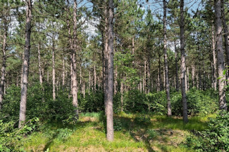 3.6 Acres Near Lakes & Trails! 3.6 Acres Near Lakes & Trails!