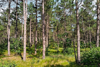 3.6 Acres Near Lakes & Trails! 3.6 Acres Near Lakes & Trails!