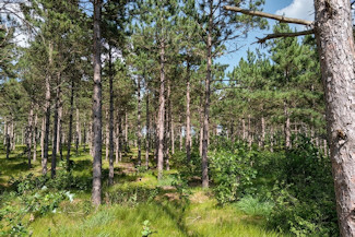 6.4 Acres near Lakes & Golf Courses! 6.4 Acres near Lakes & Golf Courses!