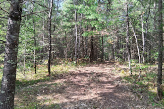 Northern WI Acreage near Lake Nokomis! Northern WI Acreage near Lake Nokomis!