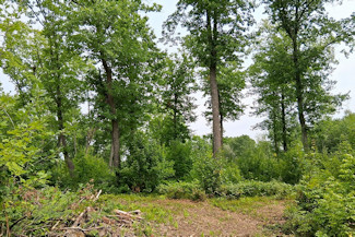 St. Croix River Area Land For Sale! St. Croix River Area Land For Sale!
