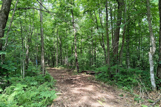St. Croix River Area Land For Sale! St. Croix River Area Land For Sale!