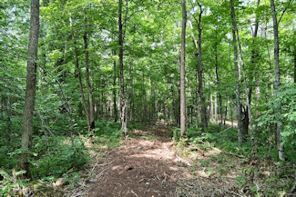 St. Croix River Area Land For Sale! St. Croix River Area Land For Sale!