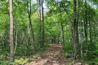 St. Croix River Area Land For Sale! St. Croix River Area Land For Sale!