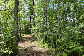 Northwest WI Acreage Near St. Croix River! Northwest WI Acreage Near St. Croix River!