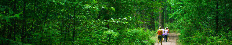 Wisconsin Hunting Land for Sale Wisconsin Hunting Land for Sale