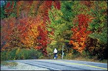 Fall biking