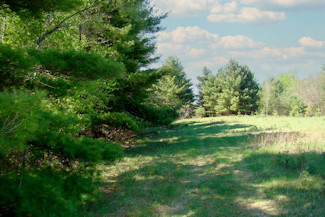 Prime 10 Acre Bargain Priced!