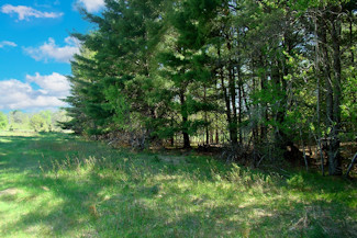 Prime 10 Acre Bargain Priced!