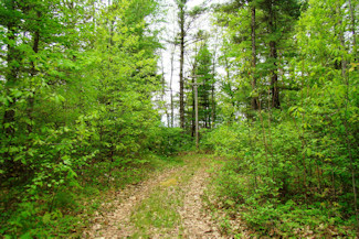 3 Acres with Driveway & Campsite!