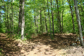 3 Acres with Driveway & Campsite!