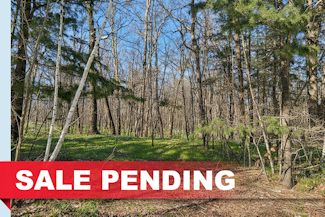 1.9 Acres Near National Forest! 1.9 Acres Near National Forest!