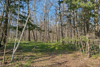 1.9 Acres Near National Forest! 1.9 Acres Near National Forest!