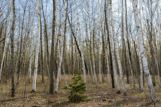 1.9 Acres Near National Forest! 1.9 Acres Near National Forest!